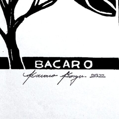 Xilogravura Bacaro Borges: Mandacaru Vermelho 1 (P)