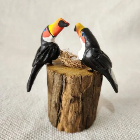 Casal de Pássaros no tronco – Tucanos