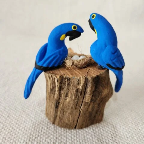 Casal de Pássaros no tronco – Arara Azul
